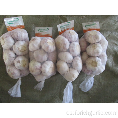 Cultivo de ajo blanco normal fresco 2019 Tamaño 5.0